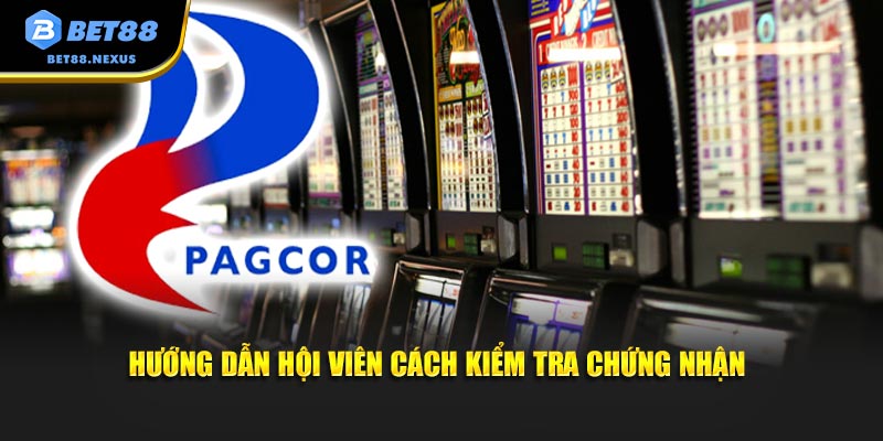 Hướng dẫn hội viên cách kiểm tra chứng nhận