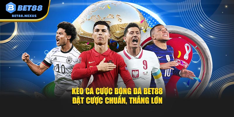 Ảnh đại diện kèo cá cược bóng đá Bet88