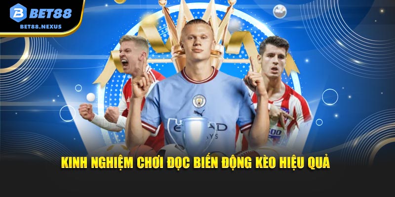 Kinh nghiệm chơi đọc biến động kèo hiệu quả