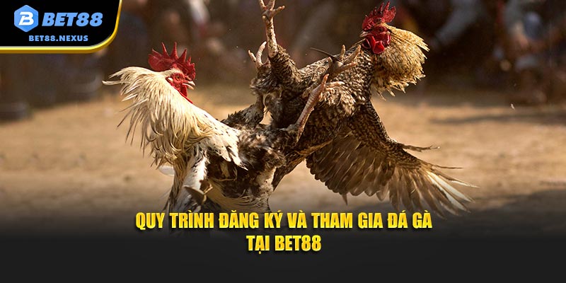 Quy trình đăng ký và tham gia đá gà tại Bet88