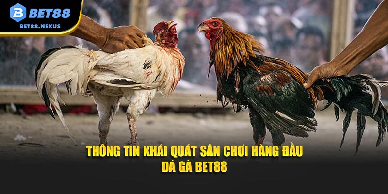 Thông tin khái quát sân chơi hàng đầu Đá gà Bet88