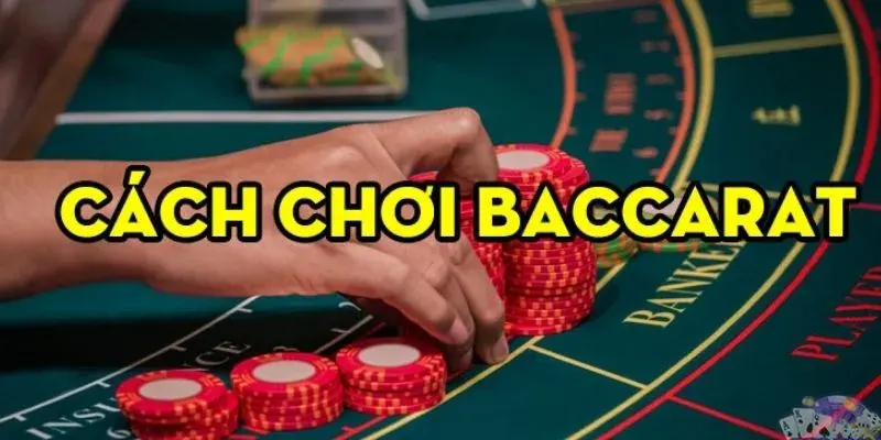 Cách Chơi Baccarat - Chinh Phục Thành Công Tại Nhà Cái Bet88