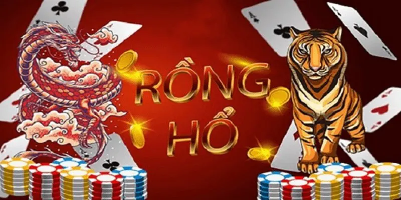 Chinh phục Rồng Hổ và các bí kíp hiệu quả từ cao thủ