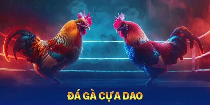 Đá Gà Cựa Dao - Thỏa Mãn Đam Mê Bất Tận Tại Bet88